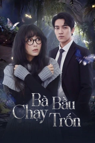 Bà Bầu Chạy Trốn (Bà Bầu Chạy Trốn) [2025]